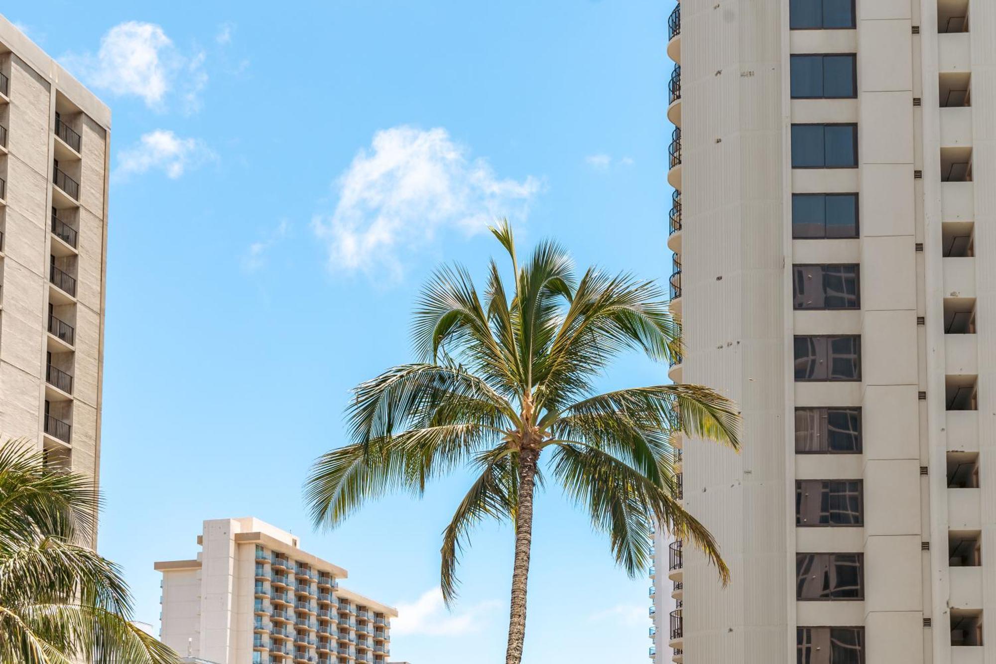 Ocean & Diamond Head Views - Near Beach - Parking! Honolulu Dış mekan fotoğraf