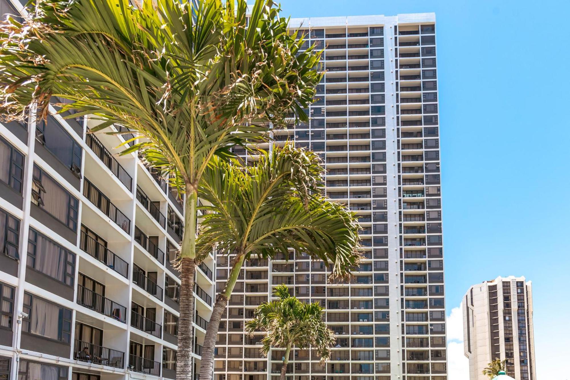 Ocean & Diamond Head Views - Near Beach - Parking! Honolulu Dış mekan fotoğraf