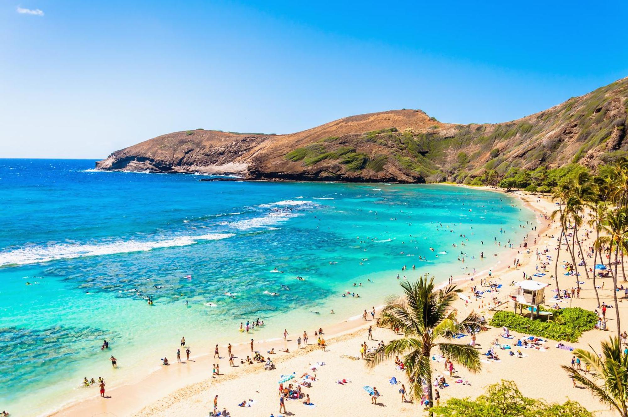 Ocean & Diamond Head Views - Near Beach - Parking! Honolulu Dış mekan fotoğraf
